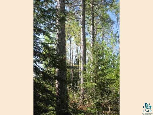 Xx Pine Road Ely, MN 55731 - Photo 5 of 9