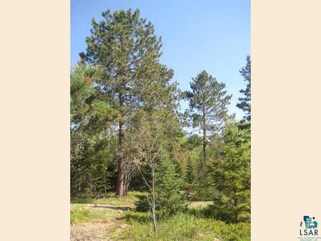 Xx Pine Road Ely, MN 55731 - Photo 6 of 9