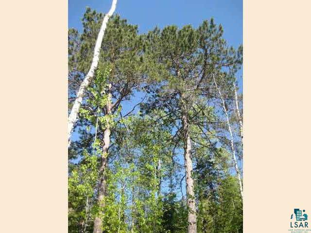Xx Pine Road Ely, MN 55731 - Photo 7 of 9