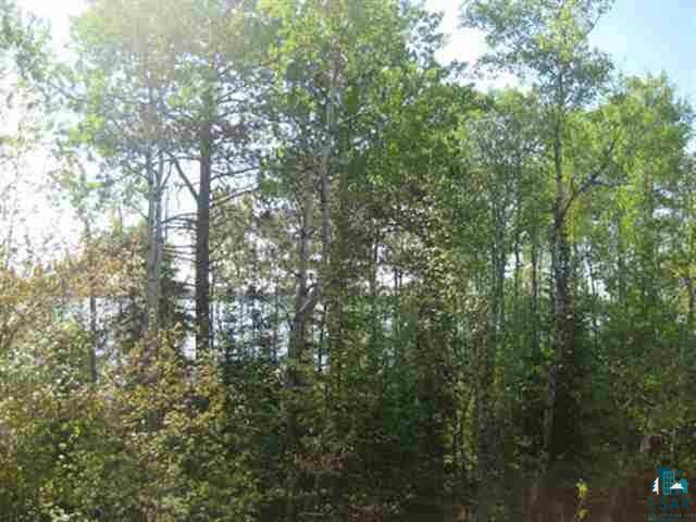 Xx Pine Road Ely, MN 55731 - Photo 8 of 9