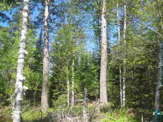 Xx Pine Road Ely, MN 55731 - Photo 9 of 9