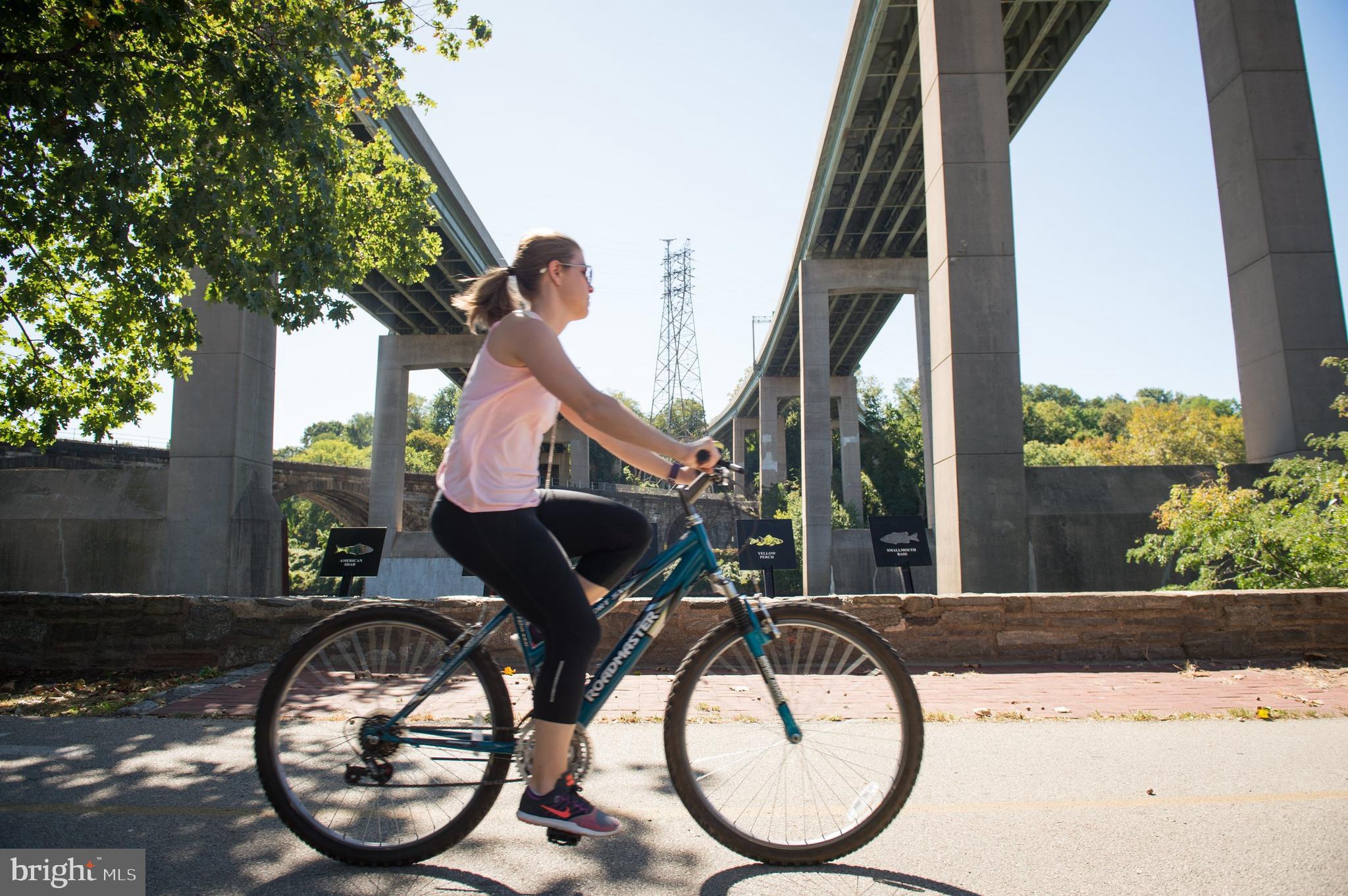 3205 North 35th Street, Unit 10 Philadelphia, PA 19129 - Photo 50 of 66