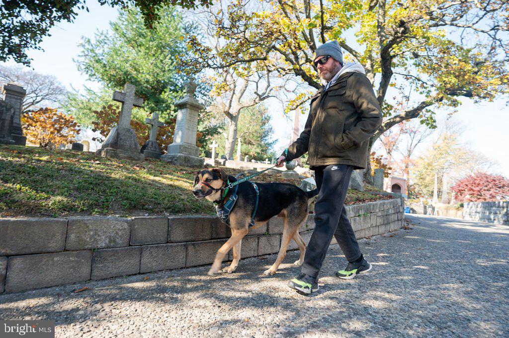 3205 North 35th Street, Unit 10 Philadelphia, PA 19129 - Photo 66 of 66