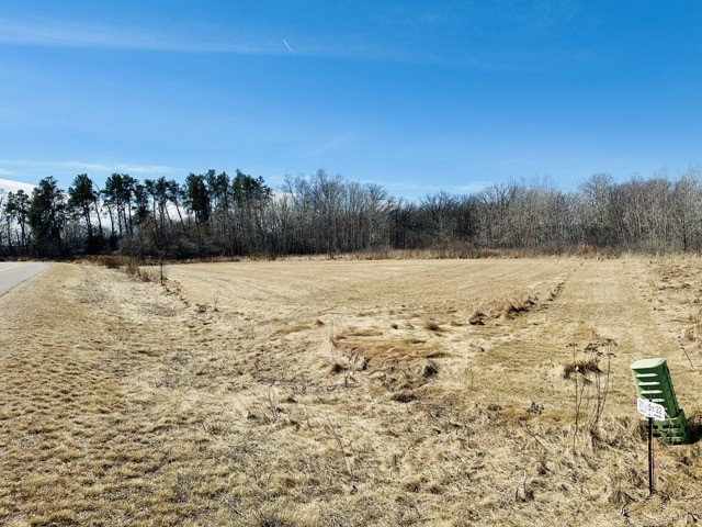 Lot 21 21st Street Rice Lake, WI 54868 - Photo 1 of 1 Gallery Image 1