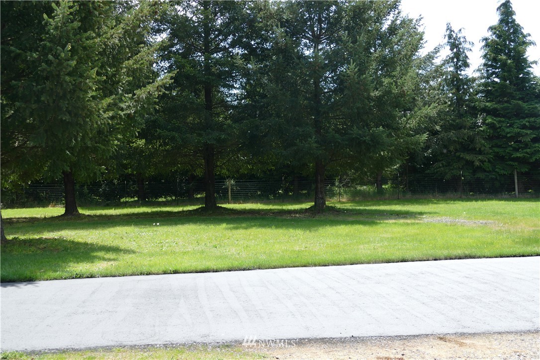 17411 Privet Court Southwest Rochester, WA 98579 - Photo 25 of 25