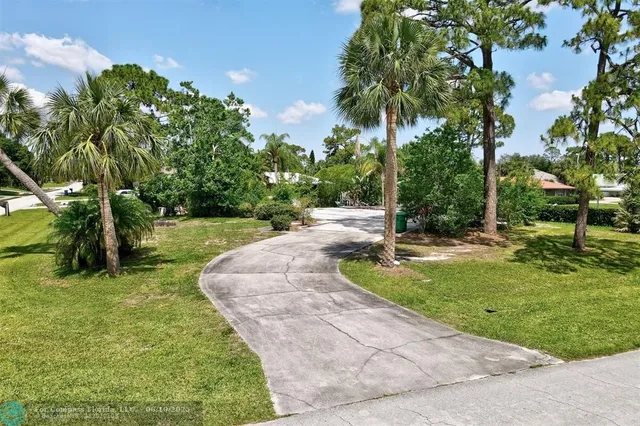 a view of a park with a tree