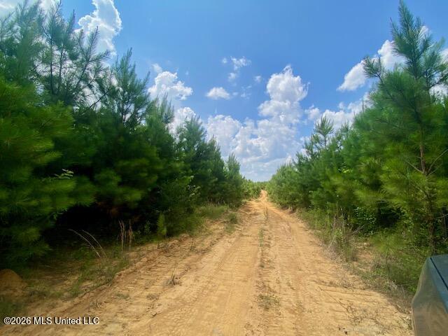 County Line Rd Summit Summit, MS 39666 - Photo 7 of 12 IMG_6537