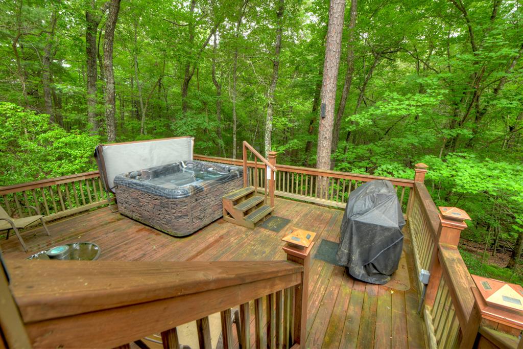 79 Maxwell Lane Blue Ridge, GA 30513 - Photo 2 of 38 Gallery Image 2