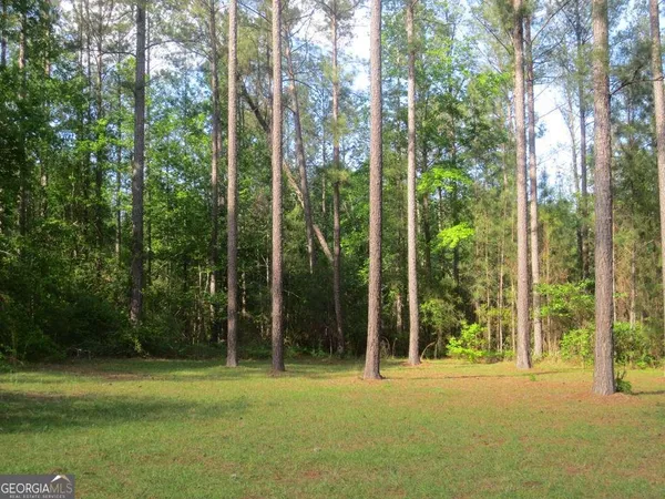 $324,000 | 445 Southside Drive, Lyons, GA 30436