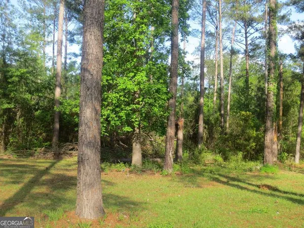 $324,000 | 445 Southside Drive, Lyons, GA 30436