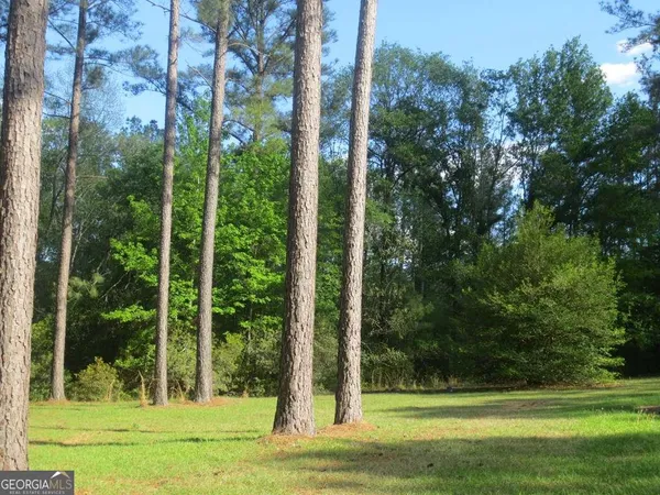 $324,000 | 445 Southside Drive, Lyons, GA 30436
