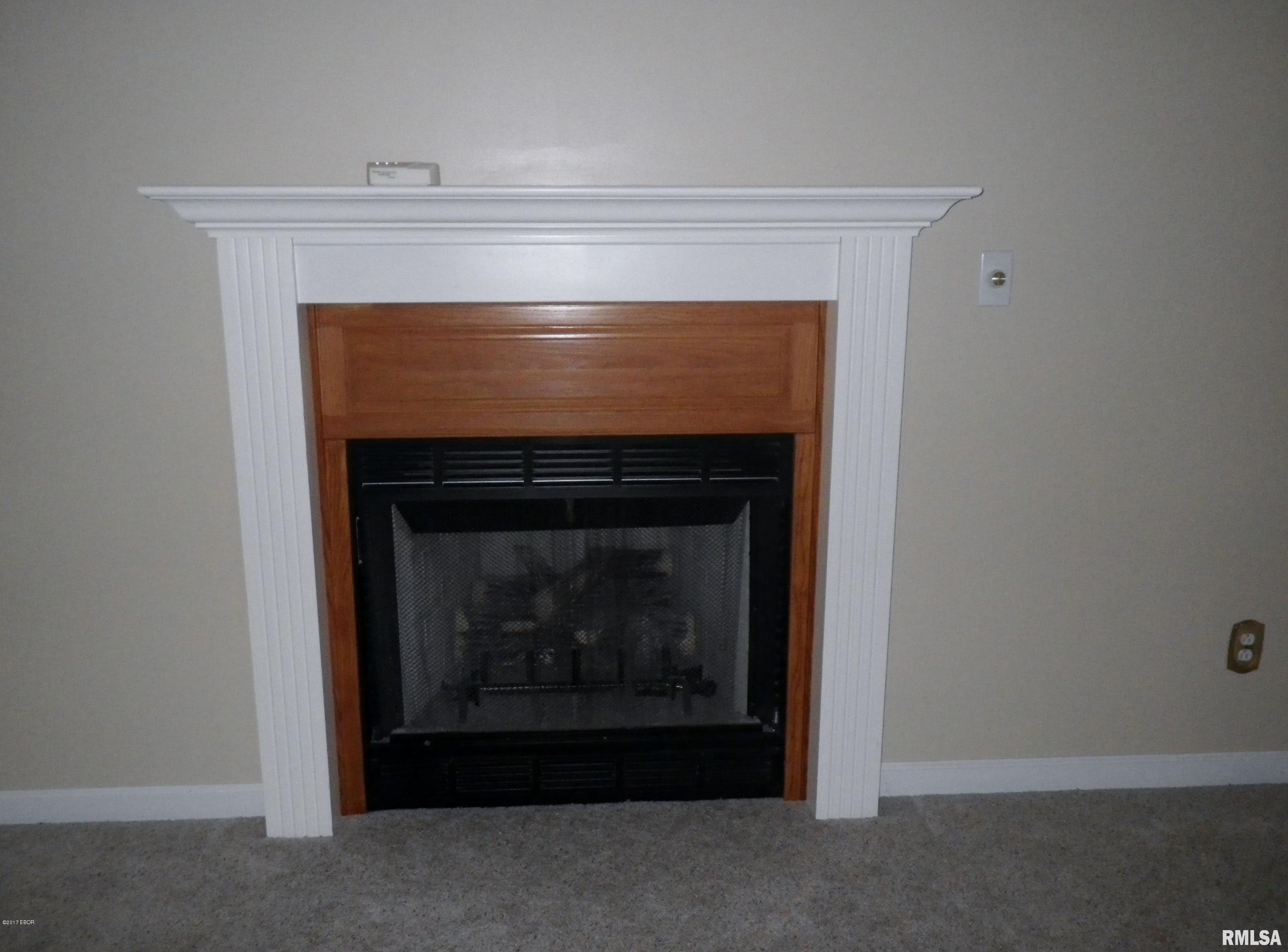 317 Roddy Road Salem, IL 62881 - Photo 16 of 33 Gallery Image 16