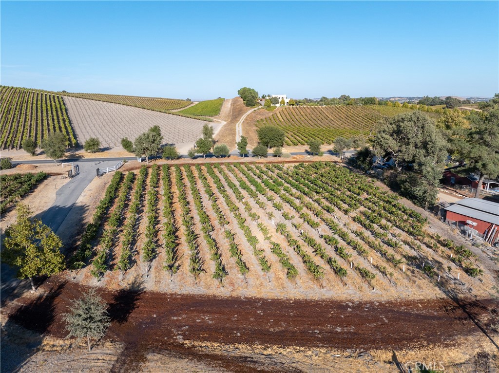 2925 Anderson Road Paso Robles, CA 93446 - Photo 50 of 69
