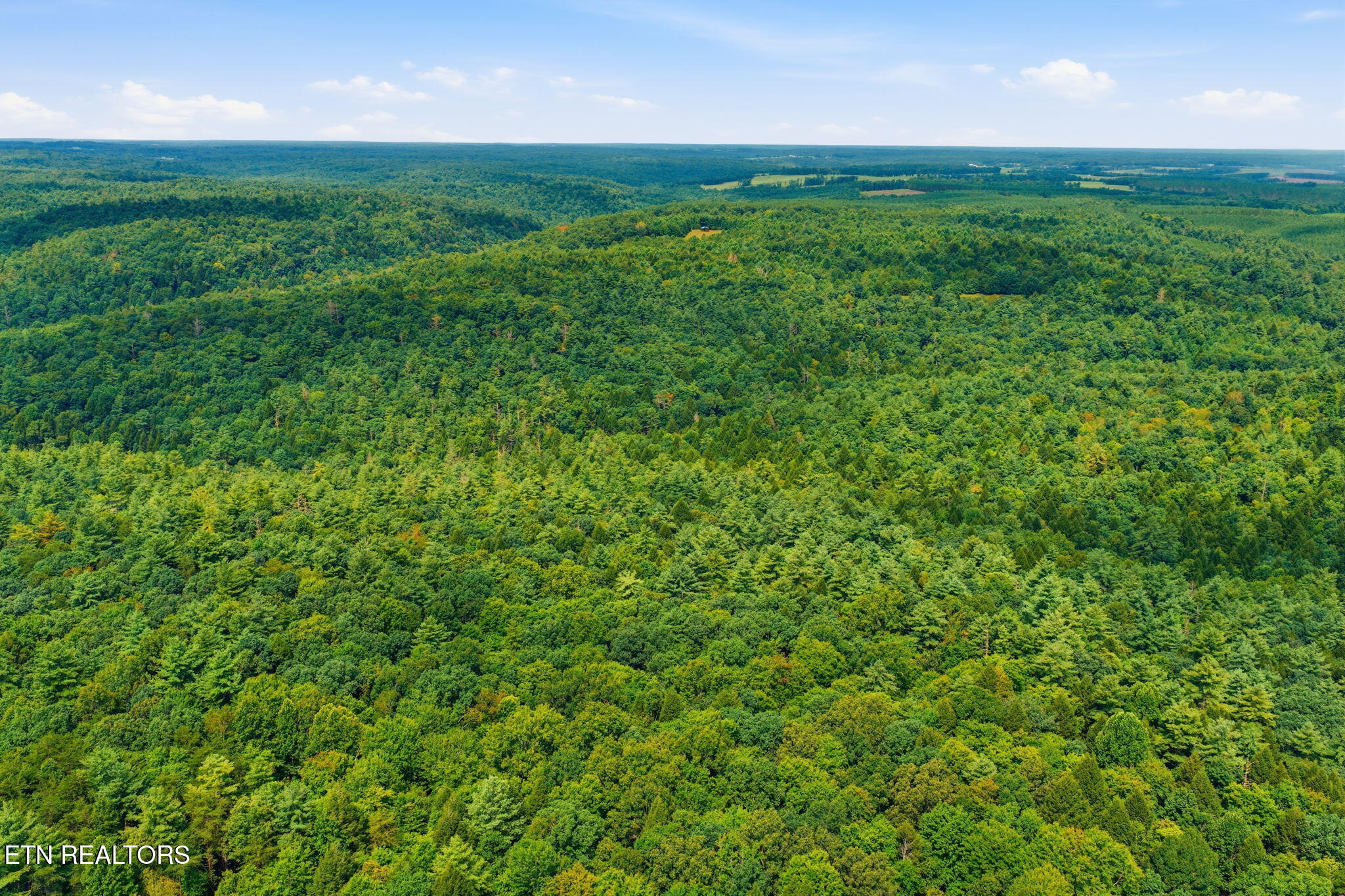 Twin Bridge Road Deer Lodge, TN 37726 - Photo 13 of 30 11-web-or-mls-011_Twin Bridge-054