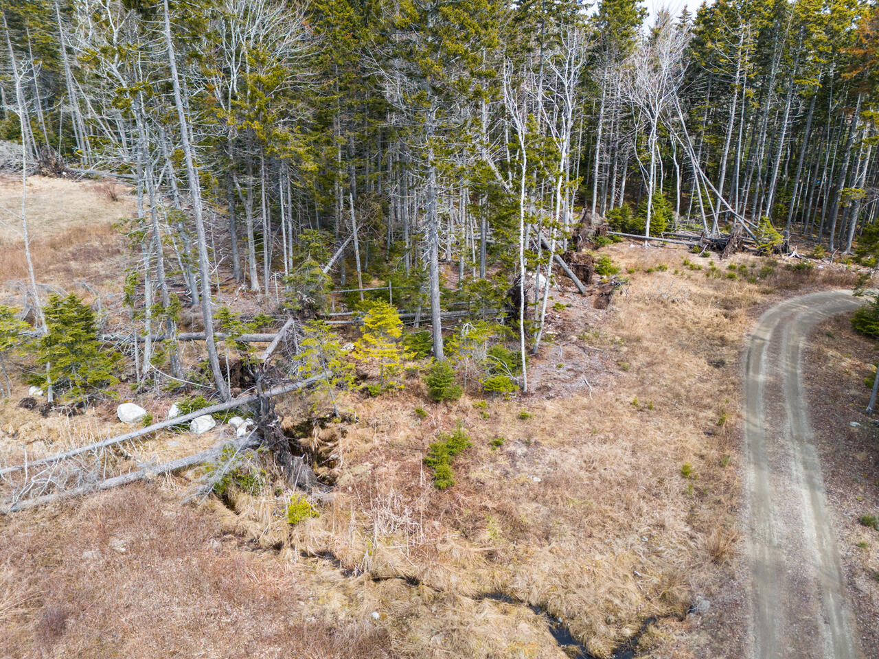 37 Yellow Head Road Bristol, ME 04554 - Photo 8 of 10 DJI_0051 adj