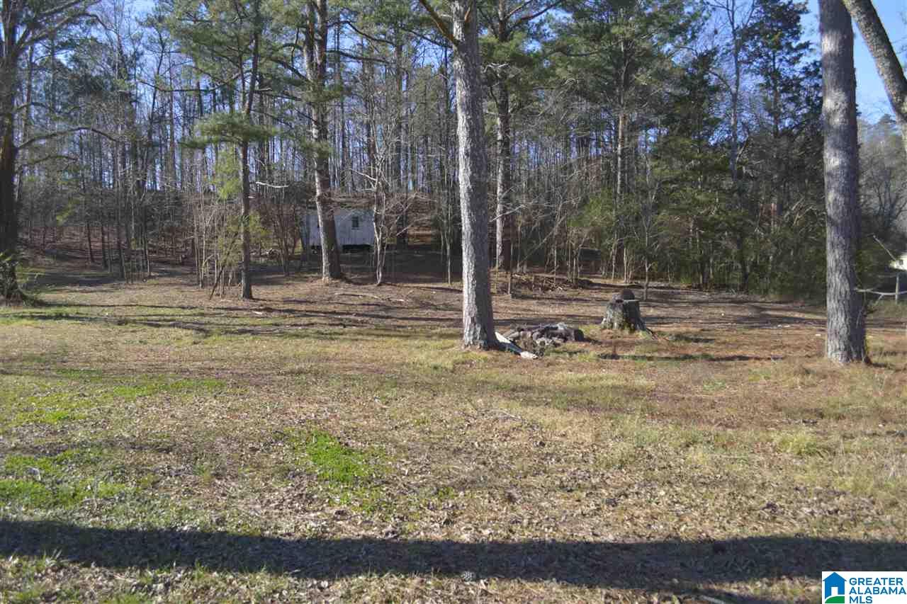 1845 Pelham Road South, Unit VACANT LOT Jacksonville, AL 36265 - Photo 1 of 11