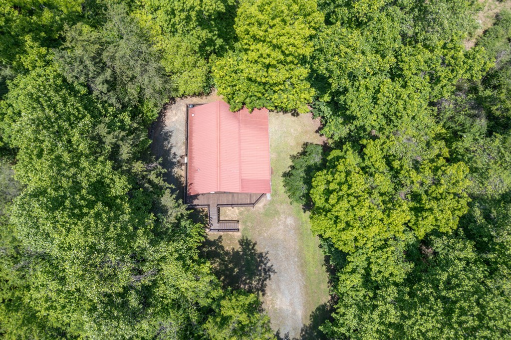 166 Lake Ridge Drive Blue Ridge, GA 30513 - Photo 34 of 45 Gallery Image 34