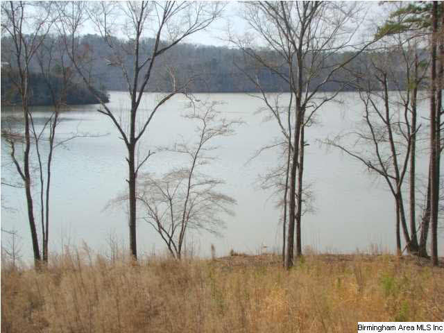 Mohawk Bluff Drive Ohatchee, AL 36271 - Photo 1 of 5