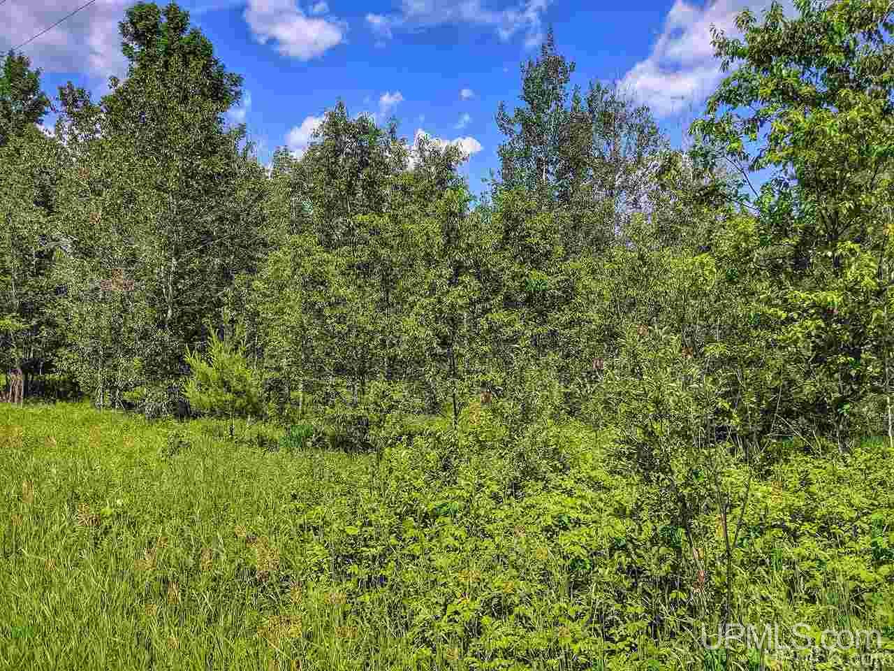 Tbd Valley View Road Norway, MI 49870 - Photo 19 of 27