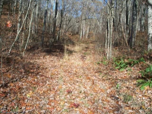 9 Joseph Chapel Road Belington, WV 26250 - Photo 3 of 18 Gallery Image 3