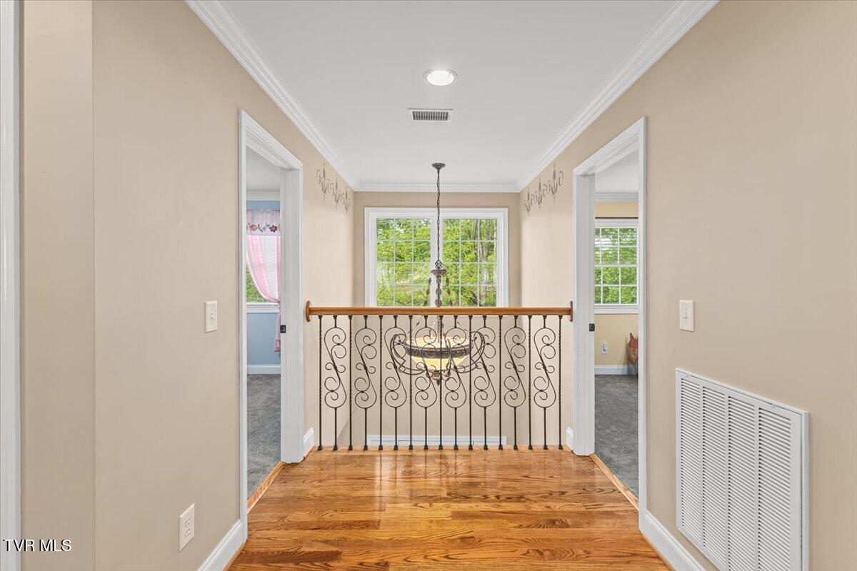 307 Fairridge Road Johnson City, TN 37604 - Photo 50 of 98 049-128A5840