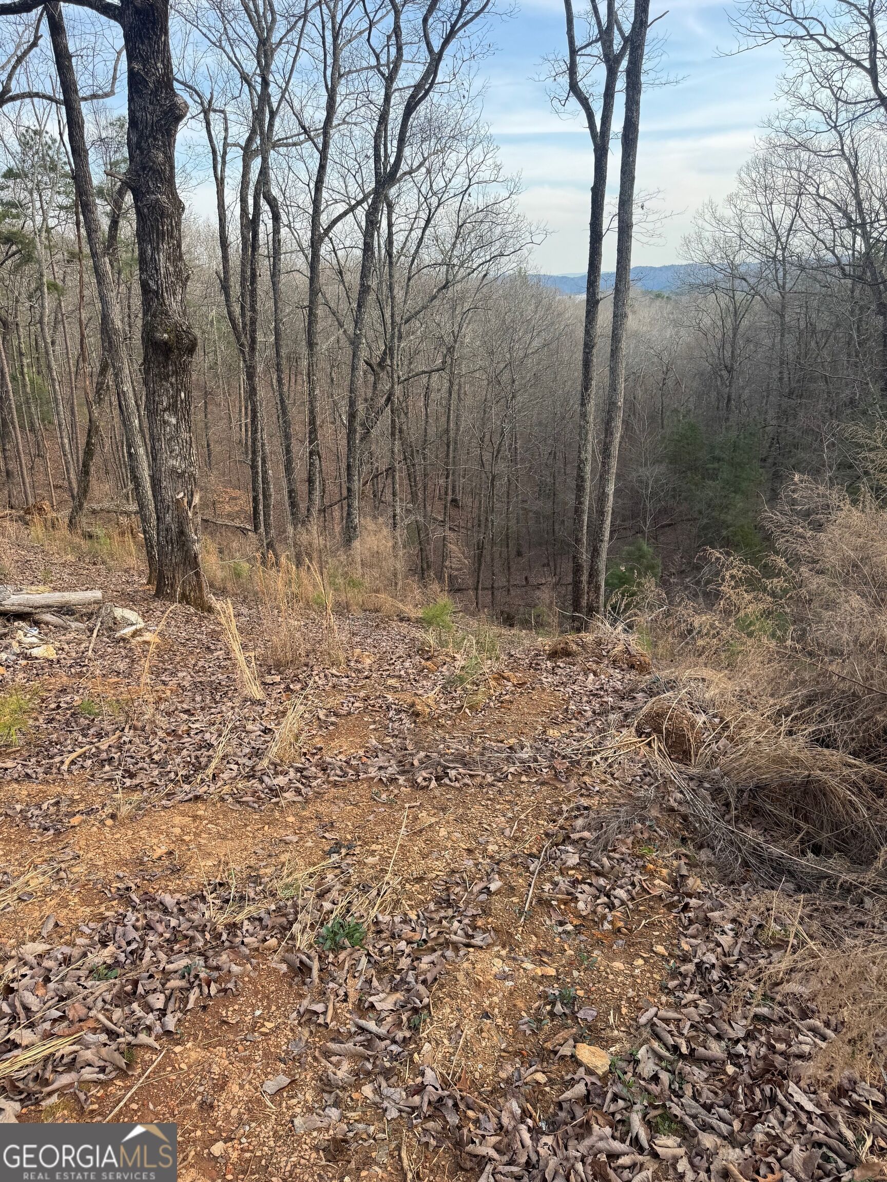 439 Buck Creek Road Ellijay, GA 30540 - Photo 10 of 15 Gallery Image 10