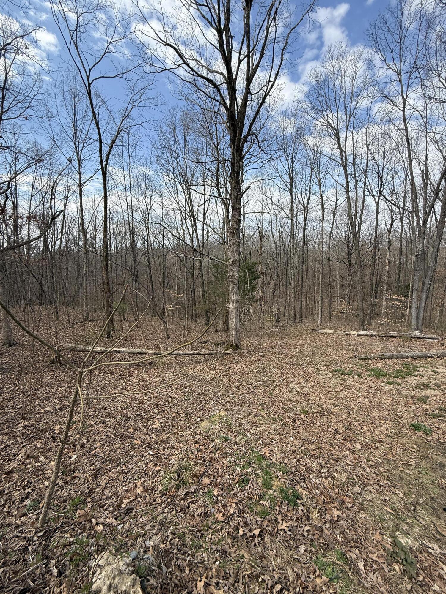 120 Nevius Road Danville, KY 40422 - Photo 3 of 6 Clearing