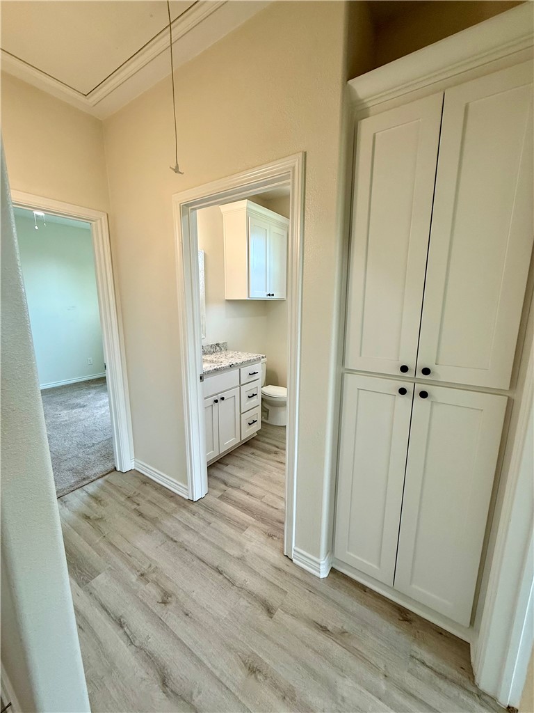 3677 Rabbit Lane Bryan, TX 77808 - Photo 9 of 30 Hallway storage