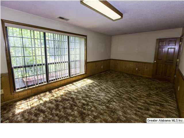 3706 Mt Olive Road Mount Olive, AL 35117 - Photo 8 of 20