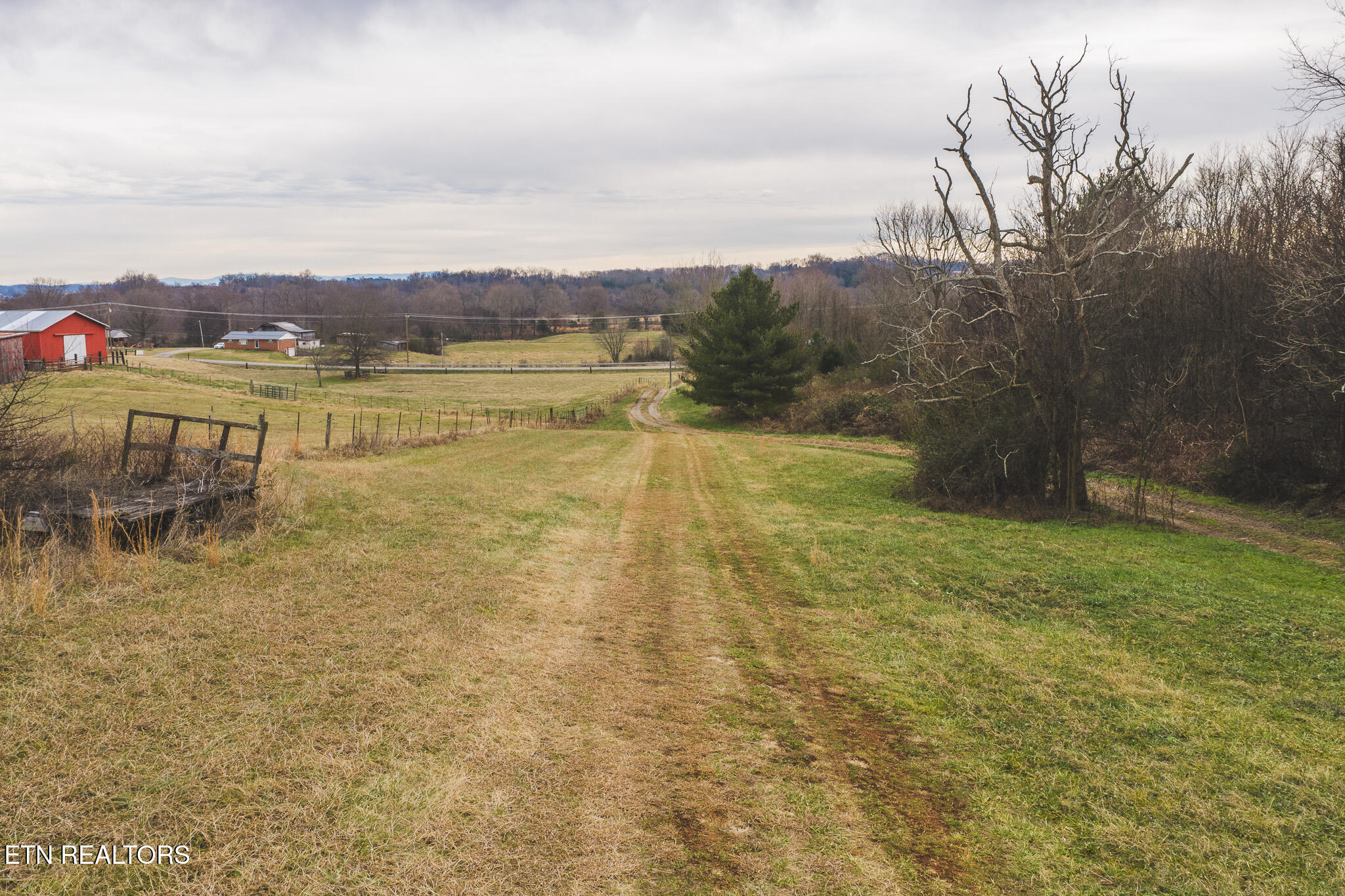 6975 St Clair Road Russellville, TN 37860 - Photo 27 of 45 DJI_20251217150908_0511_D