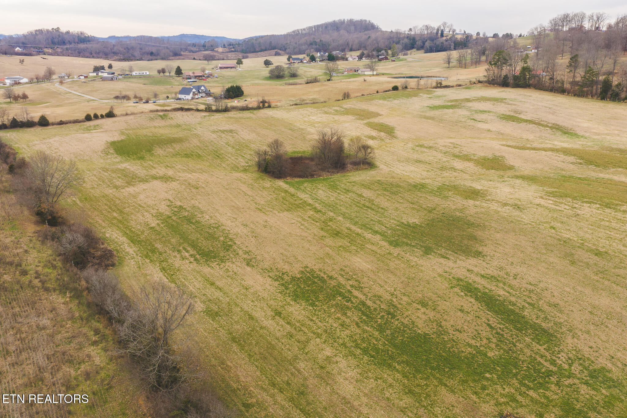 6975 St Clair Road Russellville, TN 37860 - Photo 33 of 45 DJI_20251217151523_0521_D