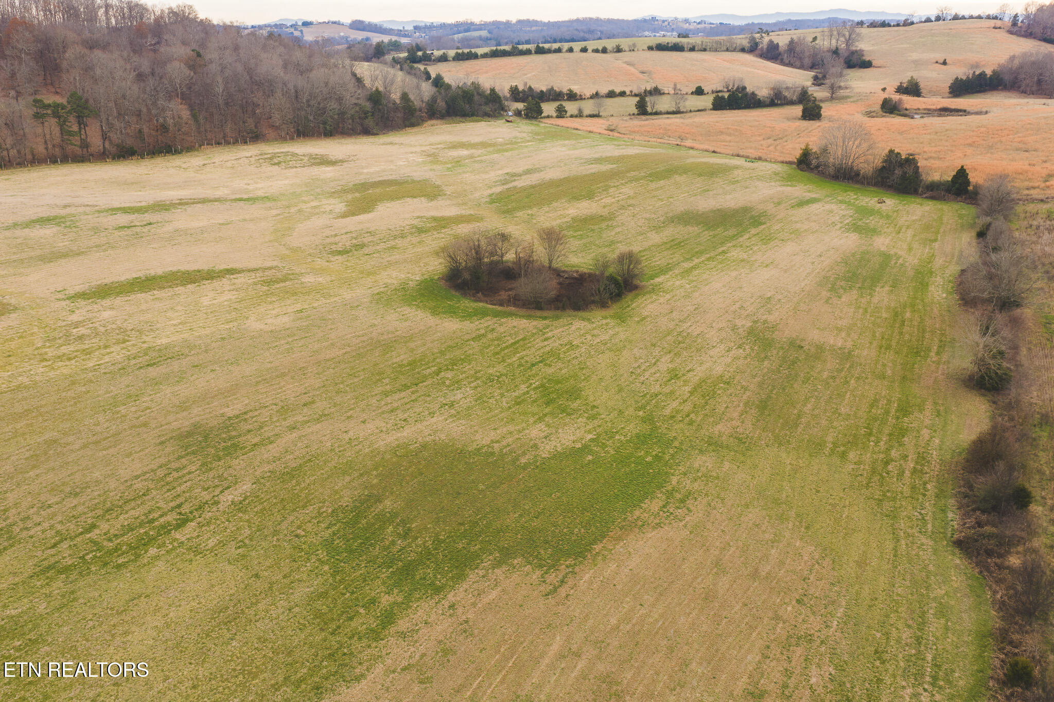 6975 St Clair Road Russellville, TN 37860 - Photo 35 of 45 DJI_20251217151642_0524_D