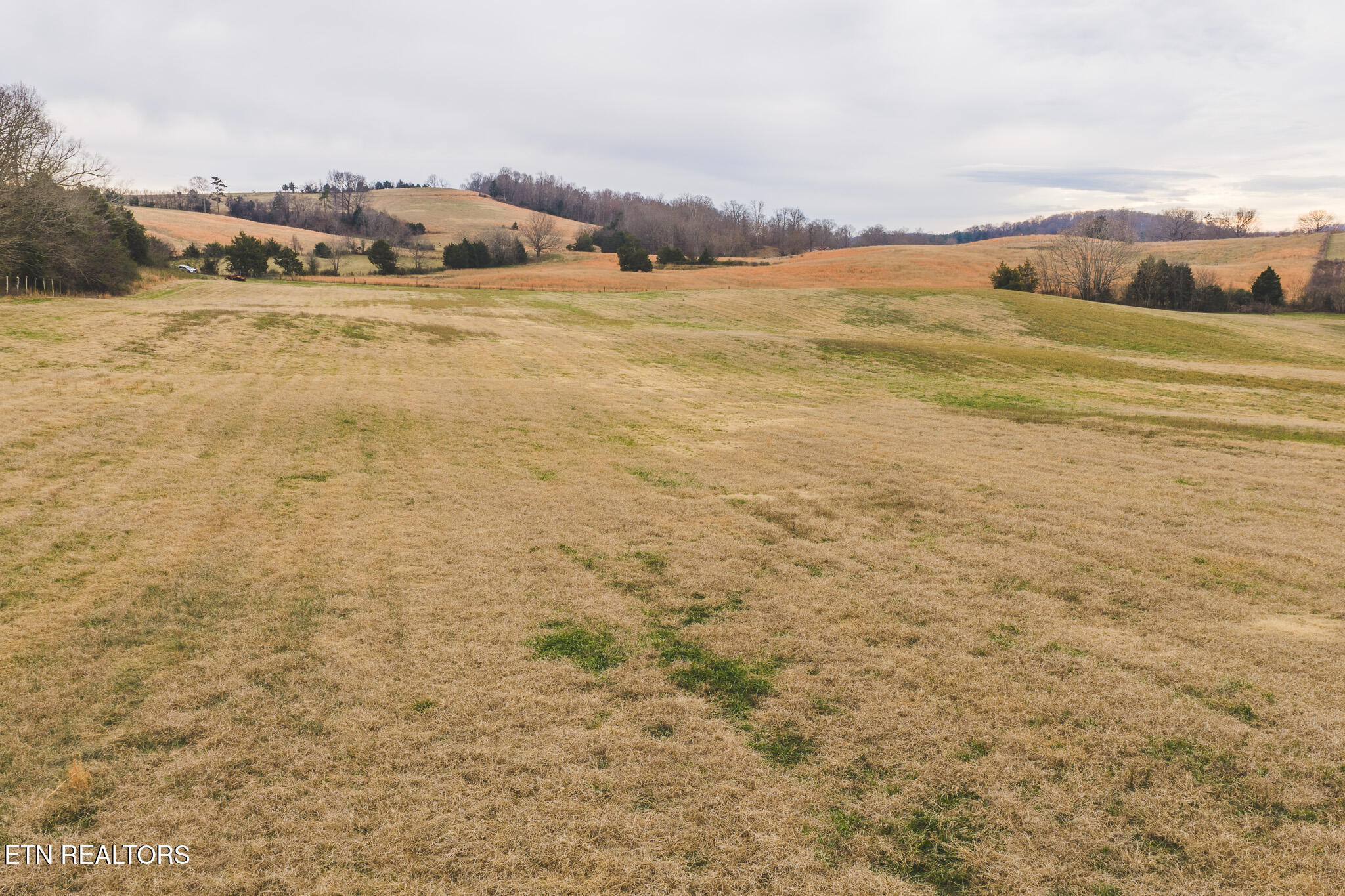 6975 St Clair Road Russellville, TN 37860 - Photo 40 of 45 DJI_20251217151854_0533_D