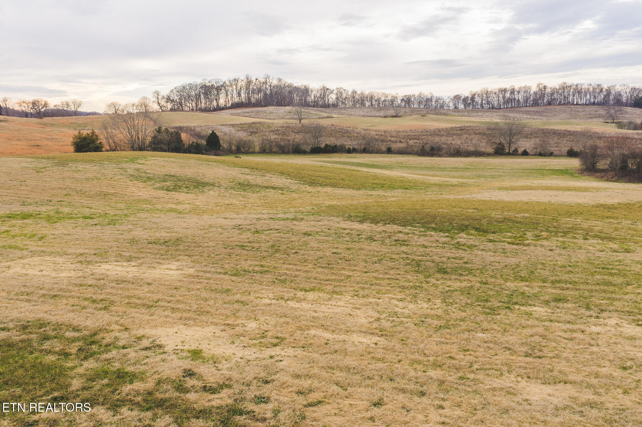 6975 St Clair Road Russellville, TN 37860 - Photo 42 of 45 DJI_20251217151934_0537_D