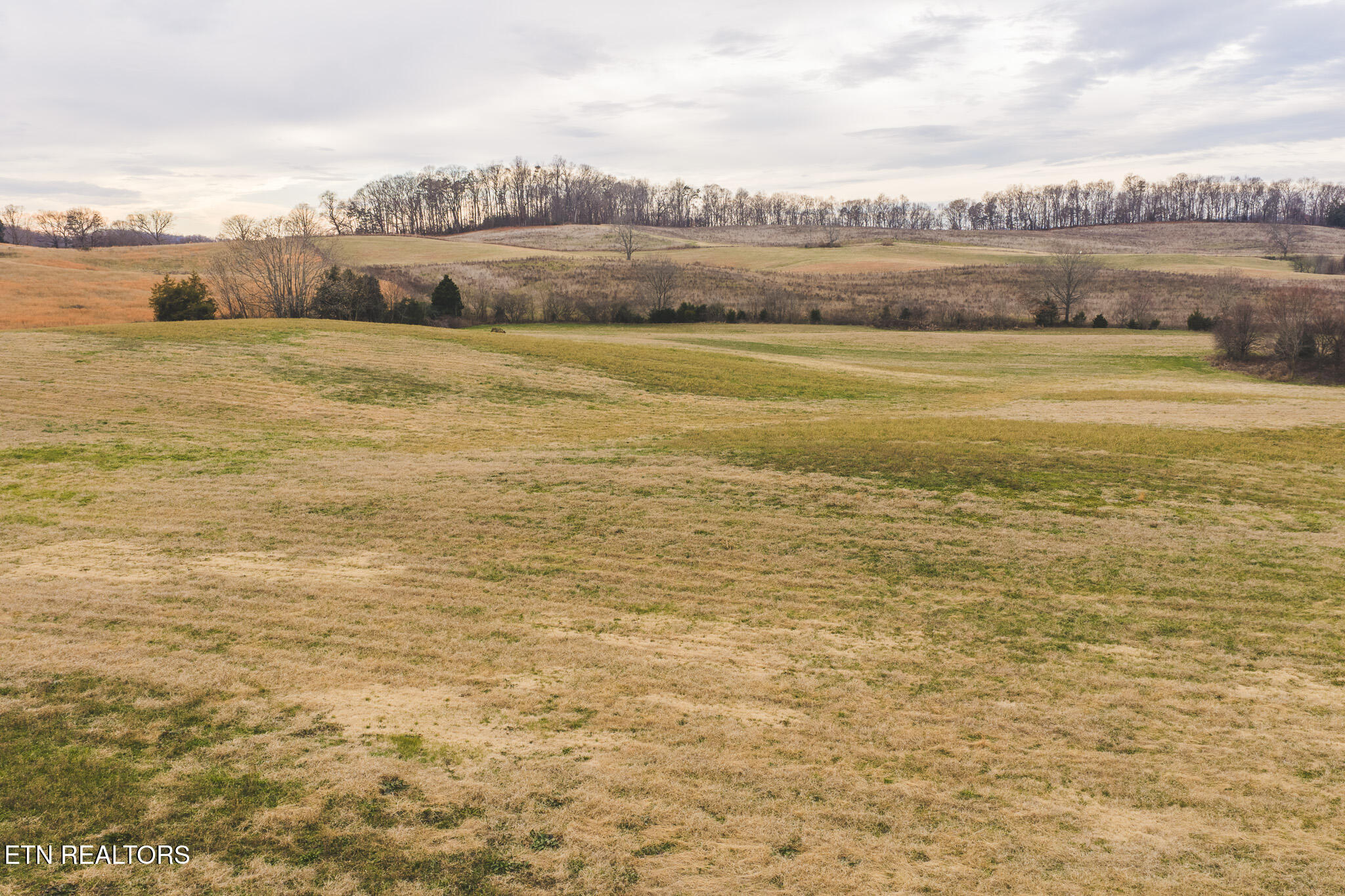 6975 St Clair Road Russellville, TN 37860 - Photo 43 of 45 DJI_20251217151935_0538_D