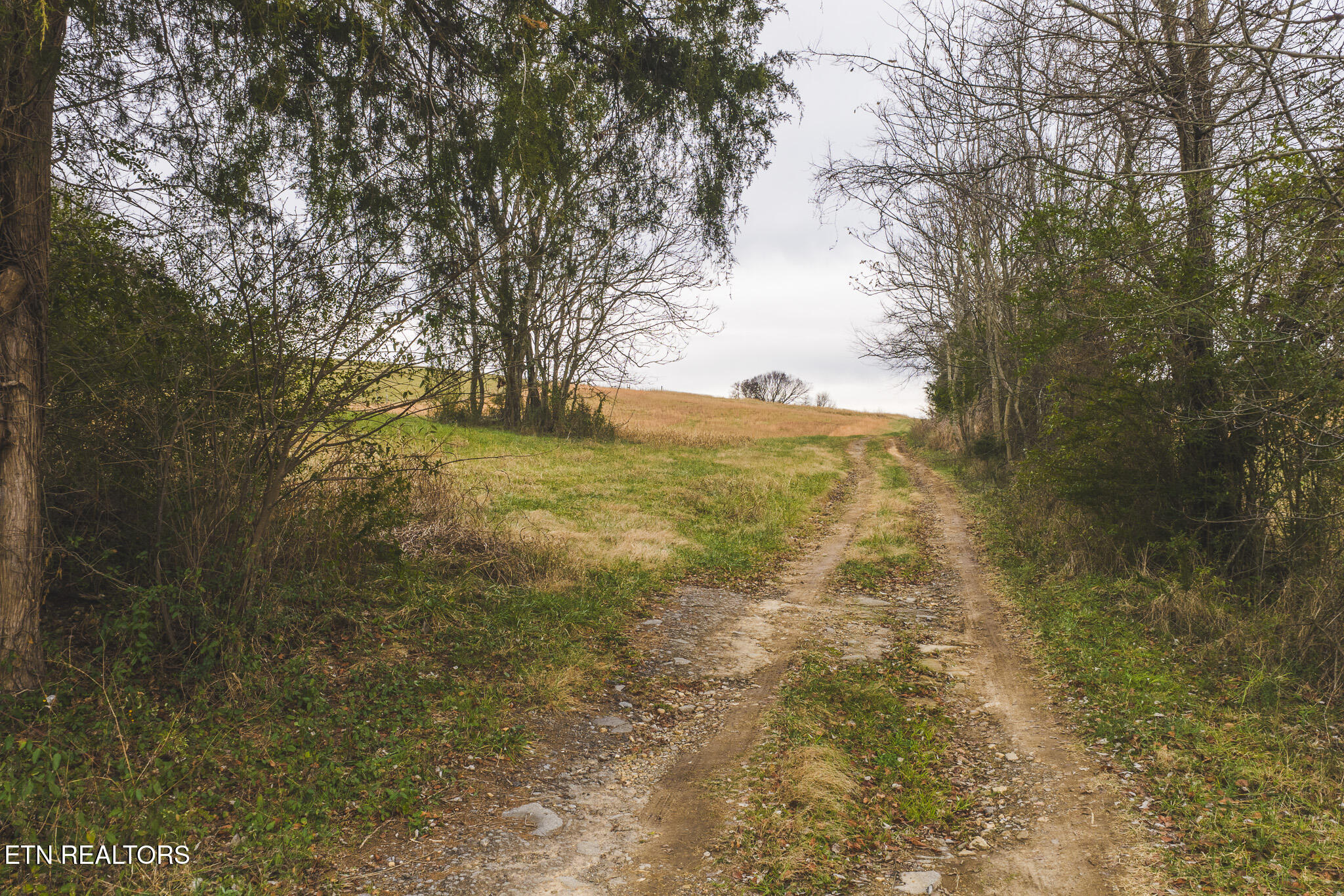 6975 St Clair Road Russellville, TN 37860 - Photo 44 of 45 DJI_20251217152016_0539_D