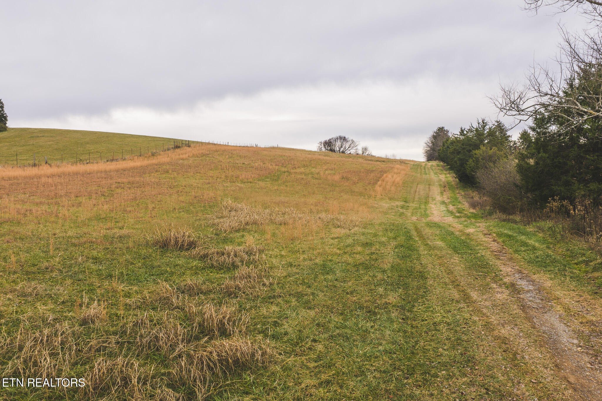 6975 St Clair Road Russellville, TN 37860 - Photo 45 of 45 DJI_20251217152037_0541_D