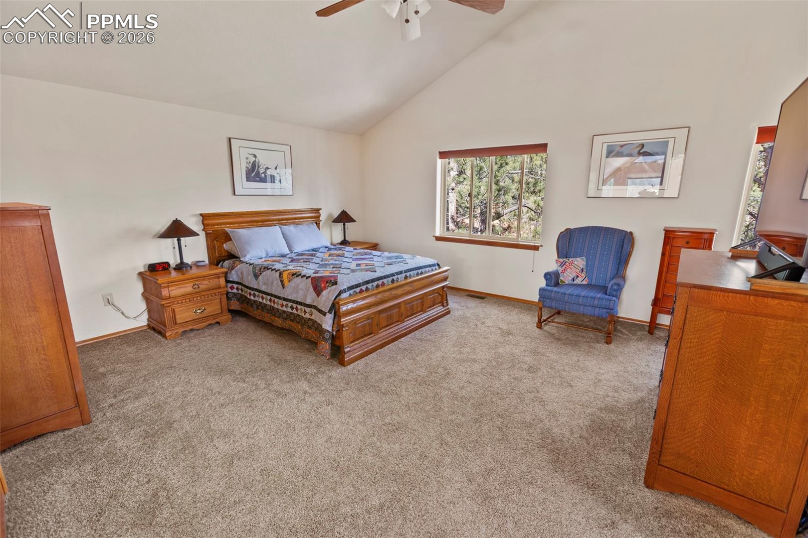 595 Bird Point Road Florissant, CO 80816 - Photo 15 of 35 Upper Level Master Bed