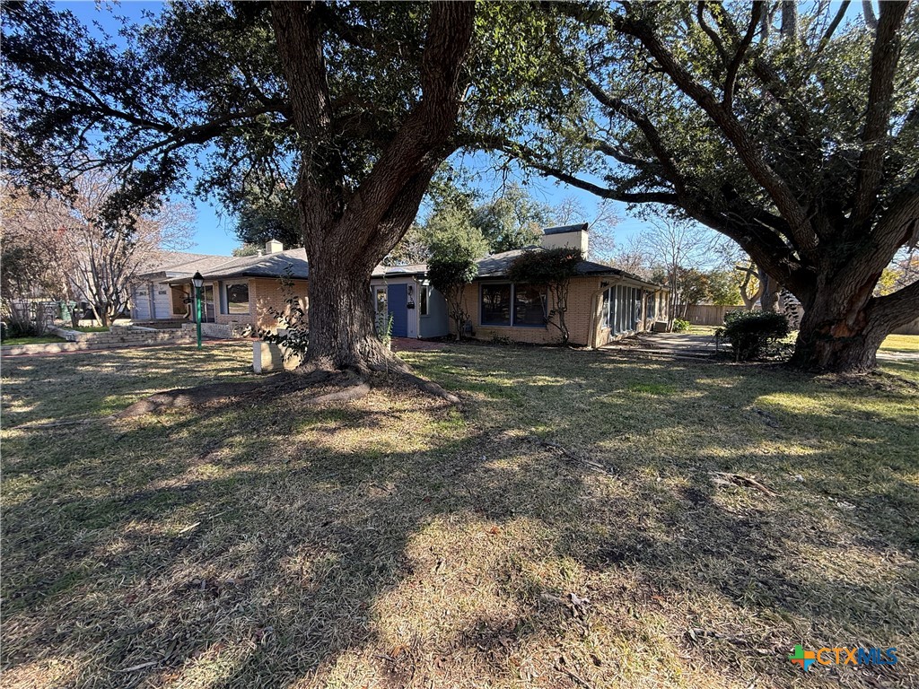 1701 North 13th Street Temple, TX 76501 - Photo 2 of 48 a view of a large trees with a tree in front of it