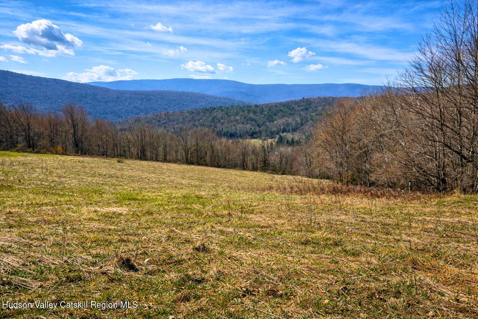 Tbd Hogg Mountain Road Fleischmanns, NY 12430 - Photo 3 of 22 #3