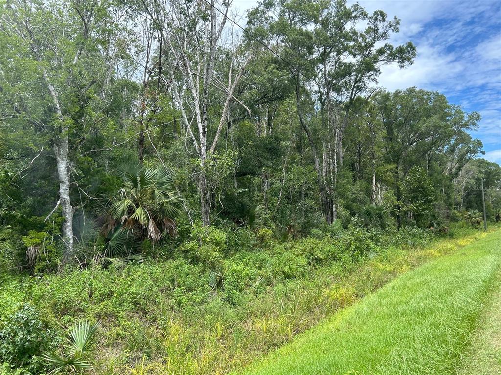 10965 Ruth Avenue Hastings, FL 32145 - Photo 7 of 12 Gallery Image 7