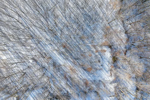 $220,000 | 15-xxx Camp Winona Trail, Faribault, MN 55021