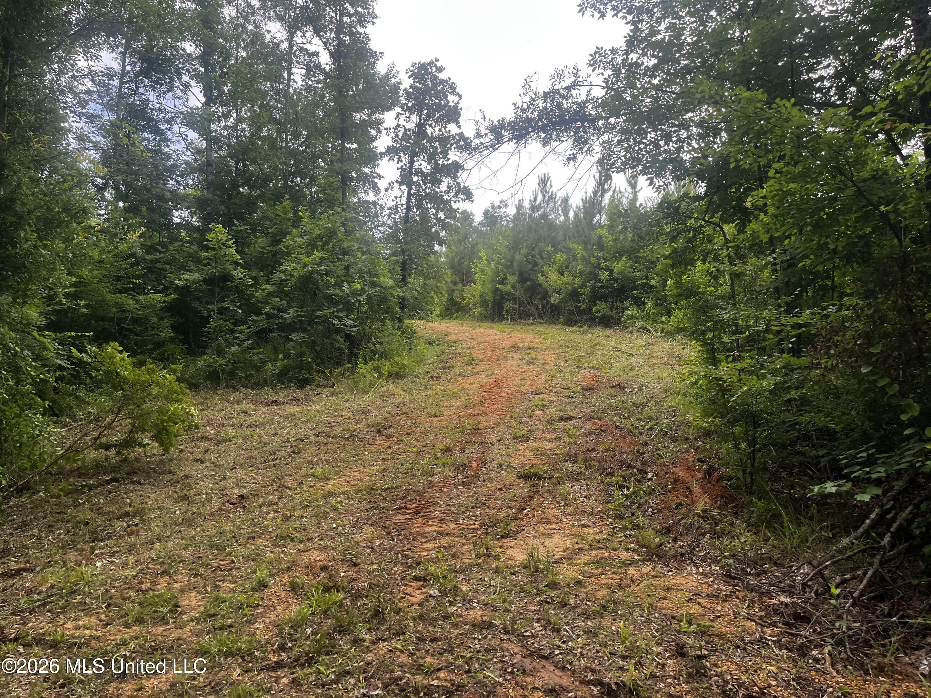 Cline Road Wesson, MS 39191 - Photo 15 of 16 IMG_1143