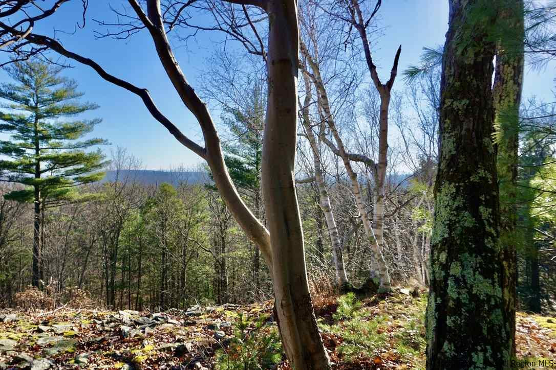 Tbd Stoll Road Saugerties, NY 12477 - Photo 11 of 28 Photo 11