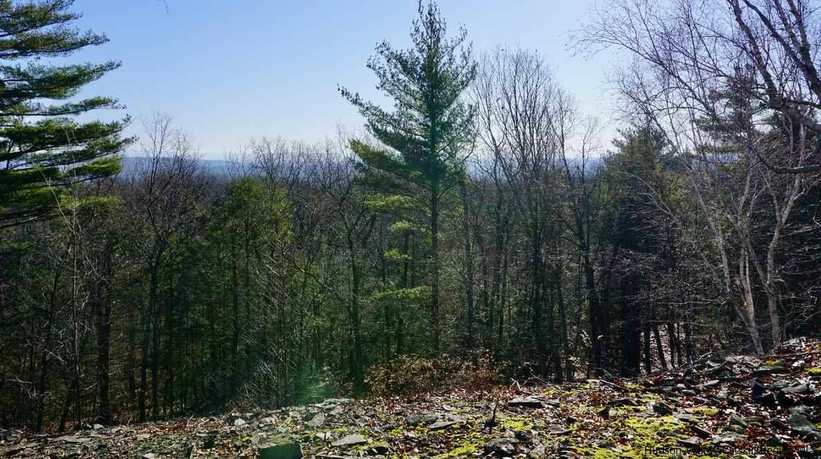 Tbd Stoll Road Saugerties, NY 12477 - Photo 12 of 28 Photo 12