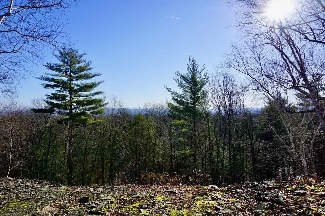 Tbd Stoll Road Saugerties, NY 12477 - Photo 14 of 28 Photo 14