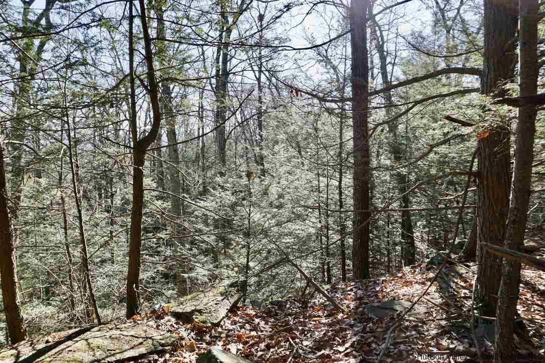 Tbd Stoll Road Saugerties, NY 12477 - Photo 16 of 28 Photo 16