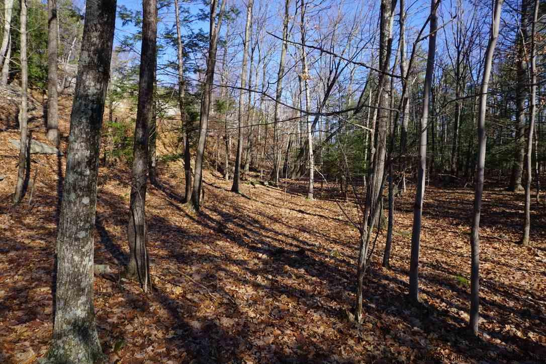 Tbd Stoll Road Saugerties, NY 12477 - Photo 17 of 28 Photo 17