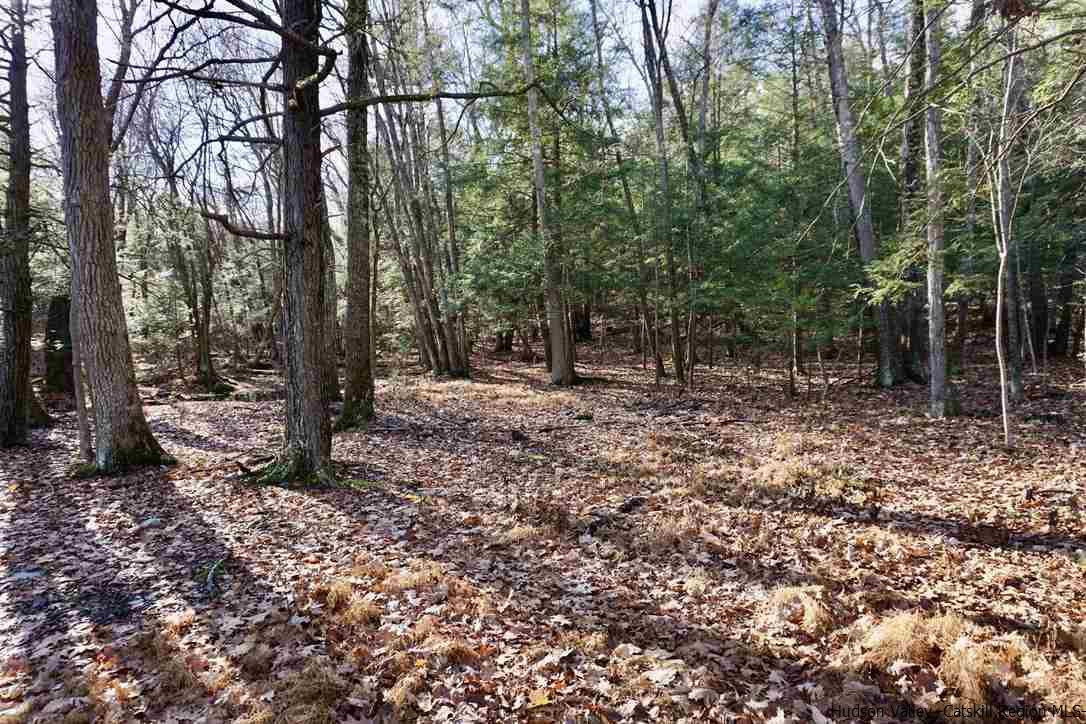 Tbd Stoll Road Saugerties, NY 12477 - Photo 20 of 28 Photo 21
