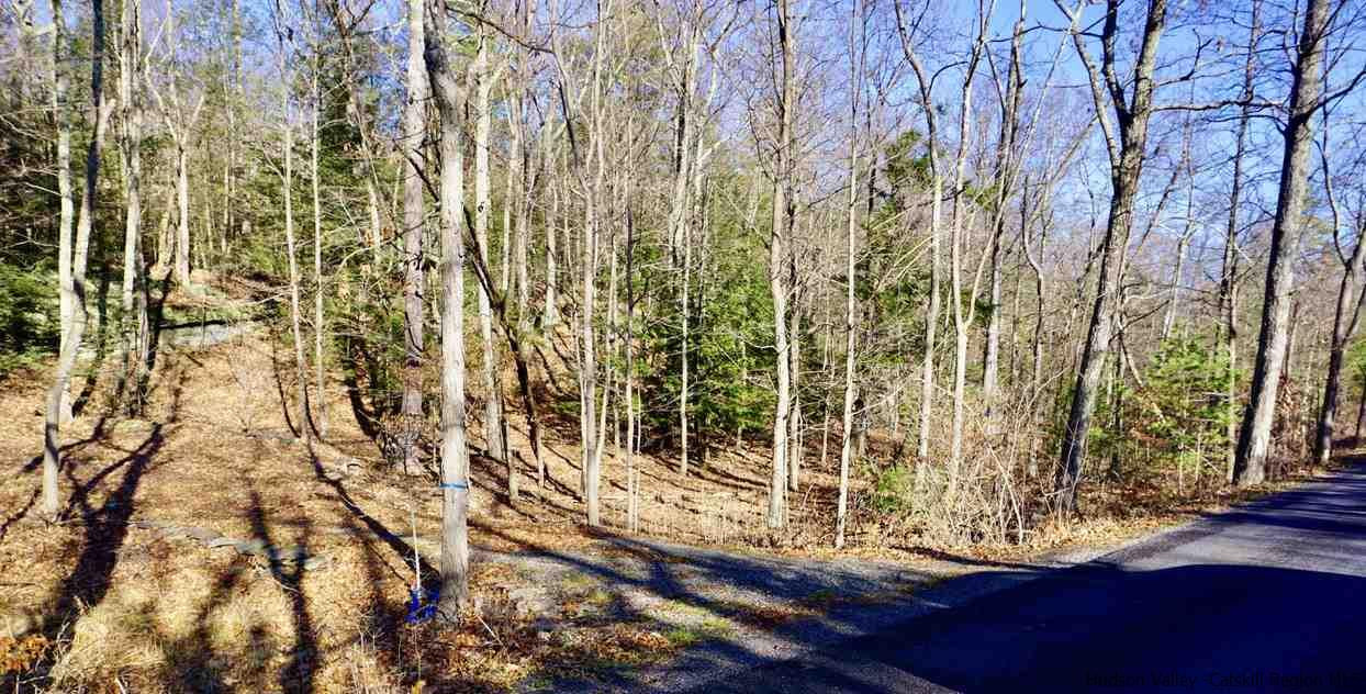 Tbd Stoll Road Saugerties, NY 12477 - Photo 2 of 28 Photo 2